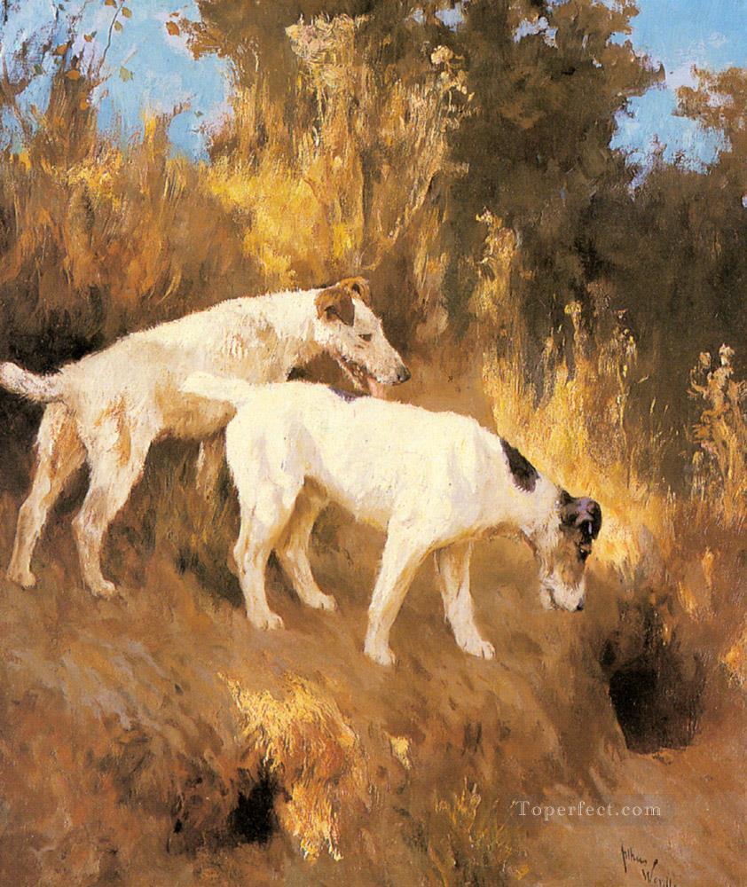 Terriers On The Scent Arthur Wardle dog Oil Paintings